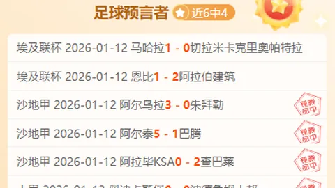 辽篮连胜突破六关，重回“争四”关键局